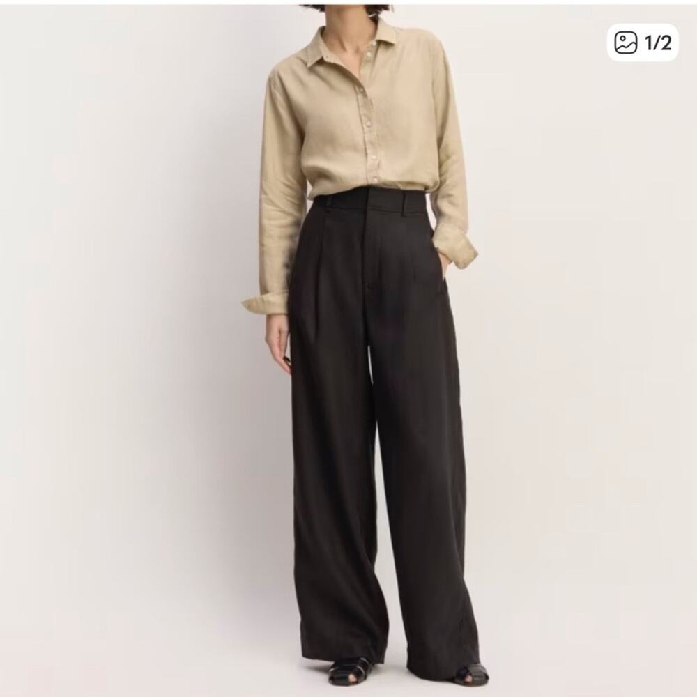 Everlane Women Mocha The Way-High Drape Pants with Black Pinstripes Size 2